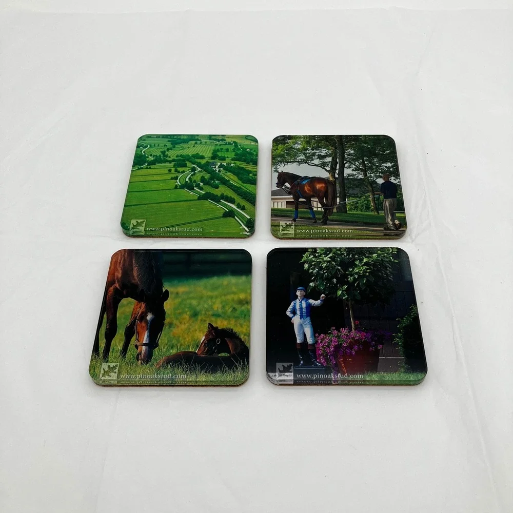 Pin Oak Stud Coaster Set of 4 Multicolor Horse Equestrian Photography Acrylic